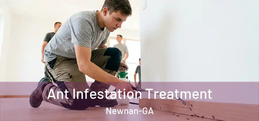 Ant Infestation Treatment Newnan-GA
