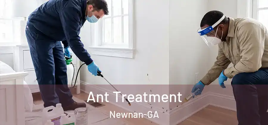 Ant Treatment Newnan-GA