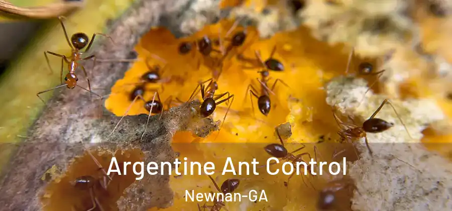 Argentine Ant Control Newnan-GA