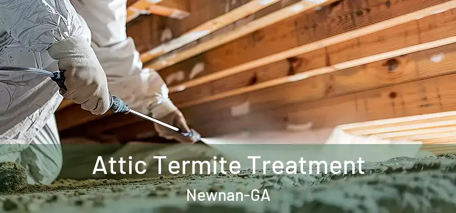 Attic Termite Treatment Newnan-GA