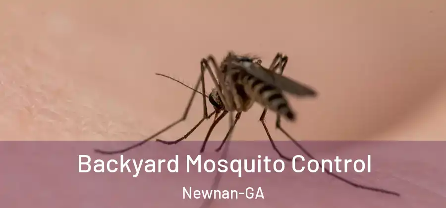 Backyard Mosquito Control Newnan-GA