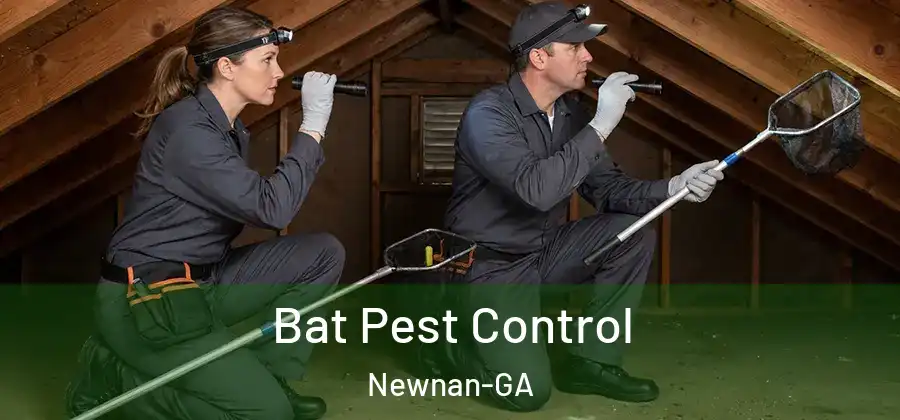 Bat Pest Control Newnan-GA