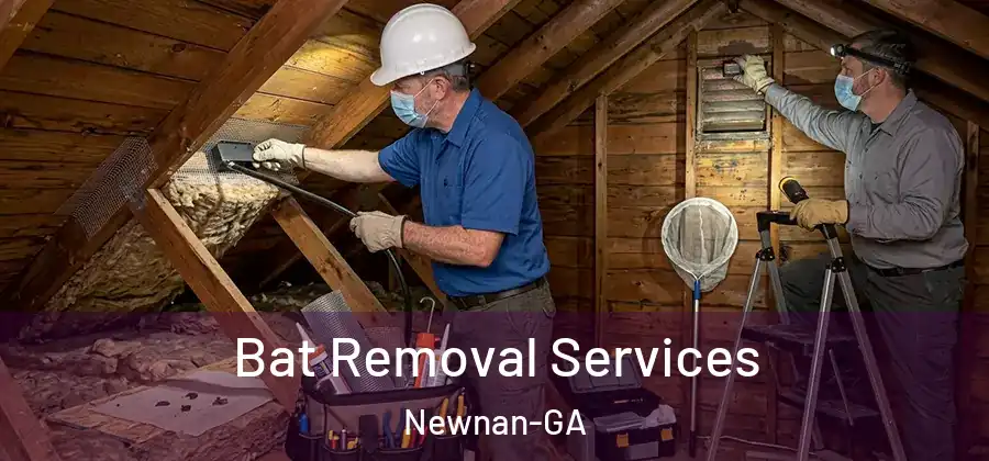Bat Removal Services Newnan-GA