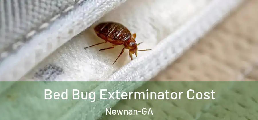 Bed Bug Exterminator Cost Newnan-GA