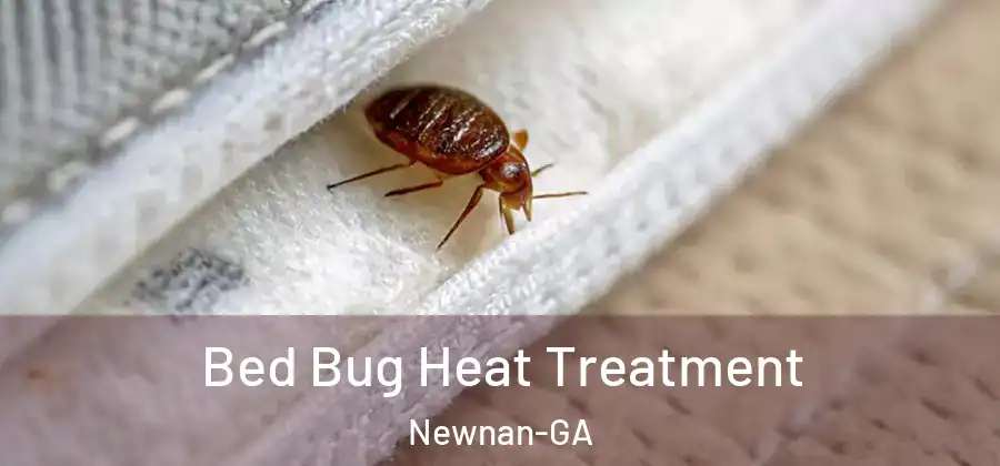 Bed Bug Heat Treatment Newnan-GA