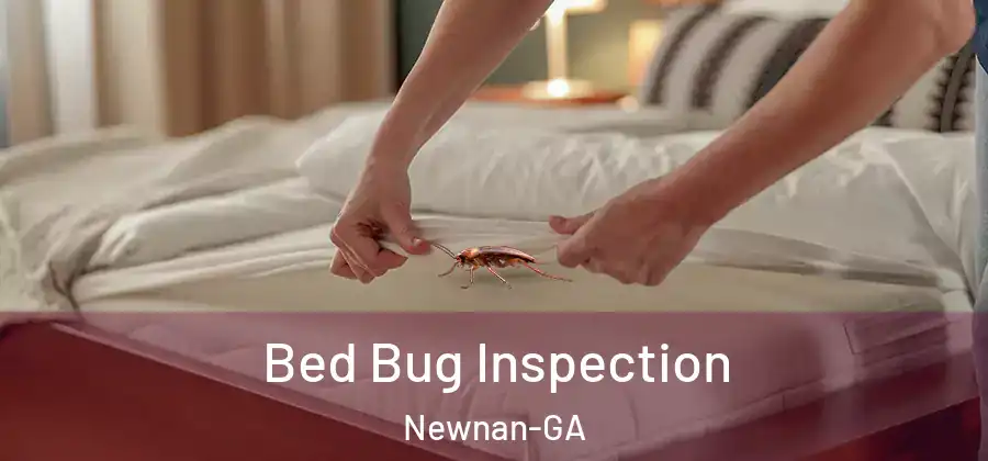Bed Bug Inspection Newnan-GA