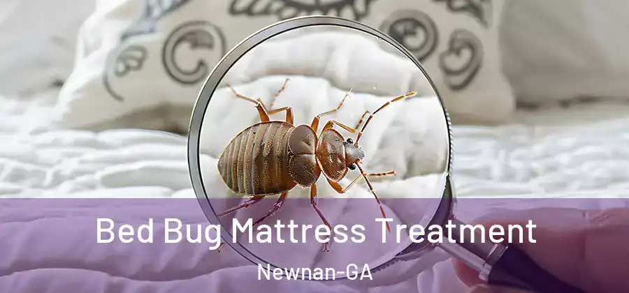  Bed Bug Mattress Treatment Newnan-GA
