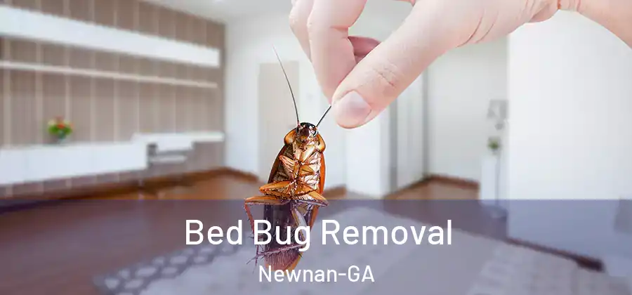 Bed Bug Removal Newnan-GA