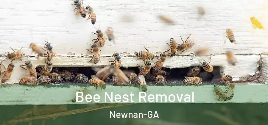  Bee Nest Removal Newnan-GA