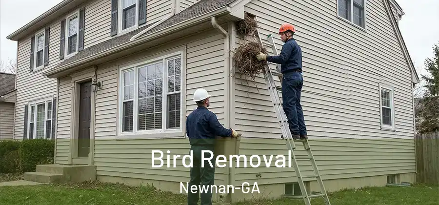 Bird Removal Newnan-GA
