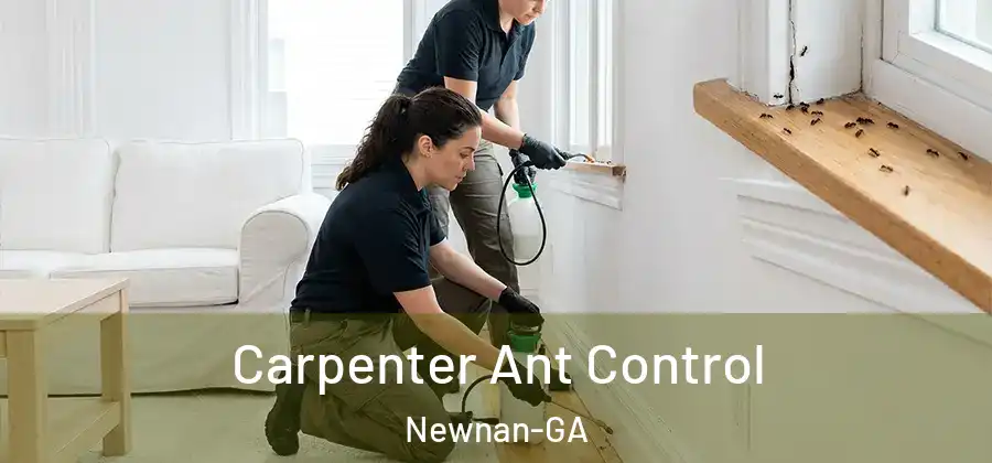Carpenter Ant Control Newnan-GA