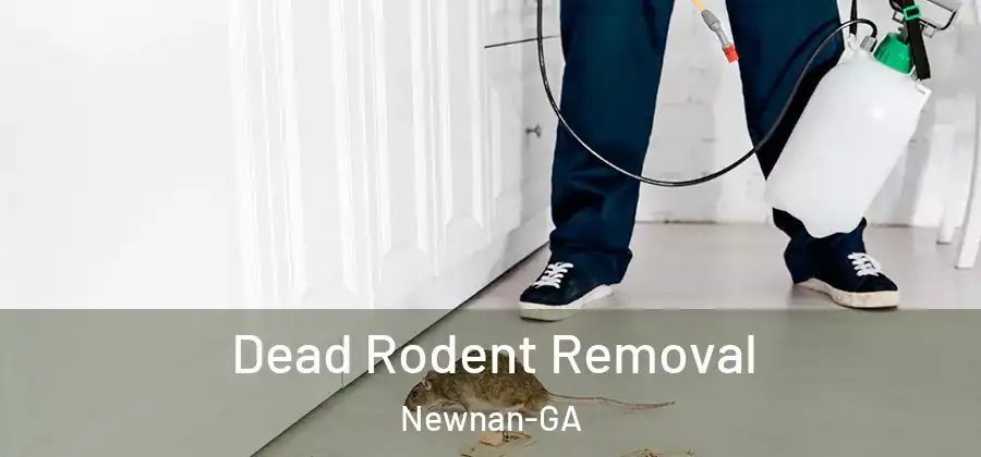 Dead Rodent Removal Newnan-GA