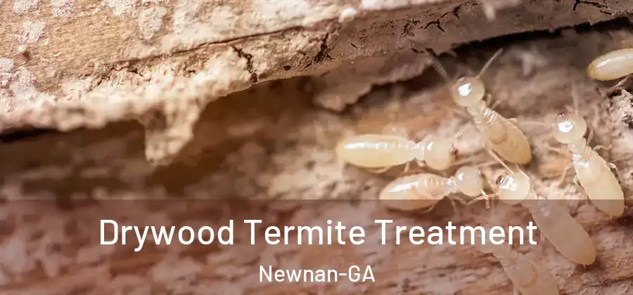 Drywood Termite Treatment Newnan-GA