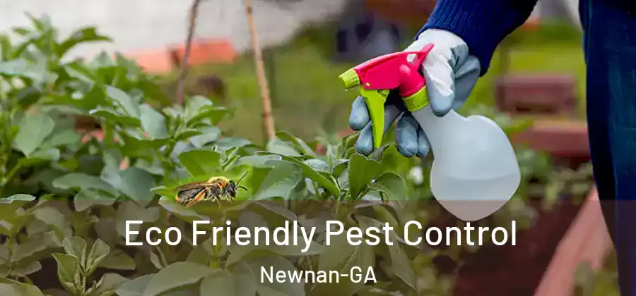  Eco Friendly Pest Control Newnan-GA