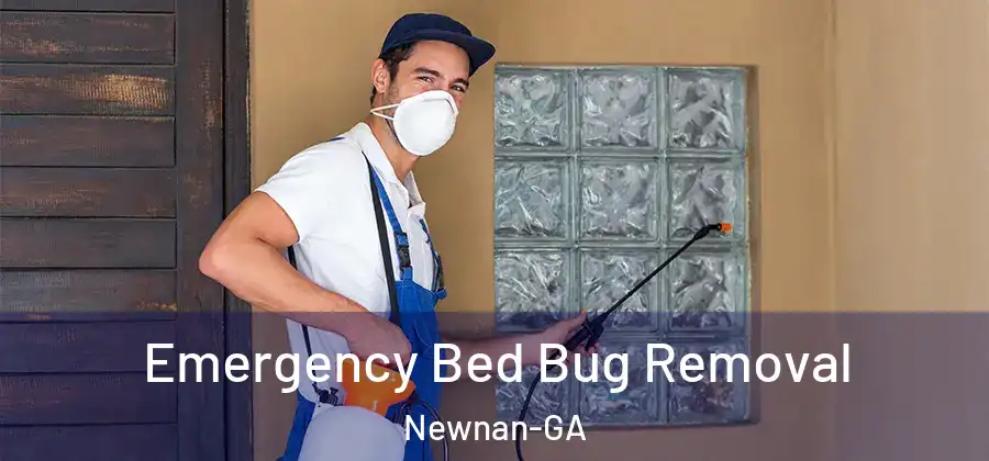  Emergency Bed Bug Removal Newnan-GA