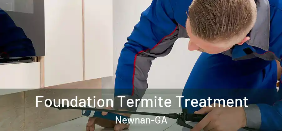 Foundation Termite Treatment Newnan-GA