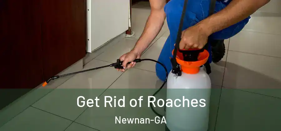 Get Rid of Roaches Newnan-GA