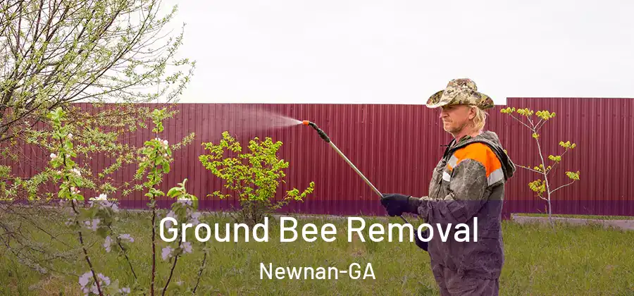  Ground Bee Removal Newnan-GA
