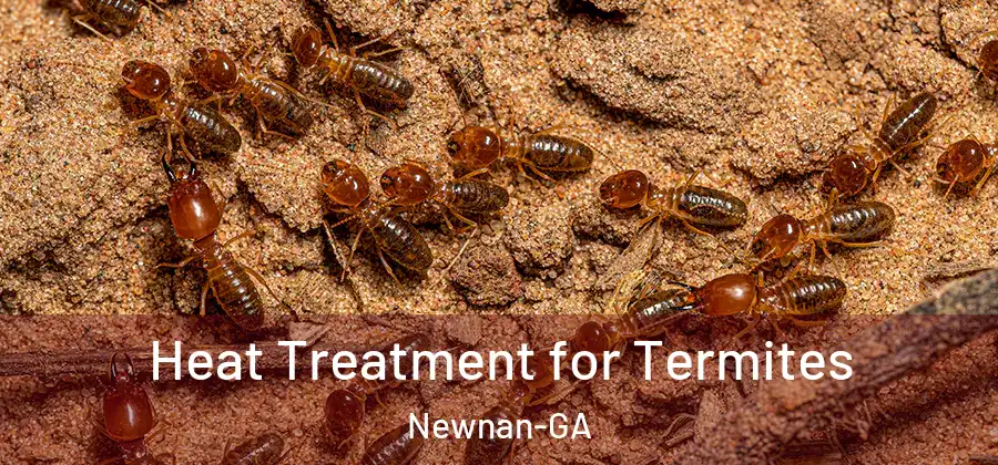 Heat Treatment for Termites Newnan-GA