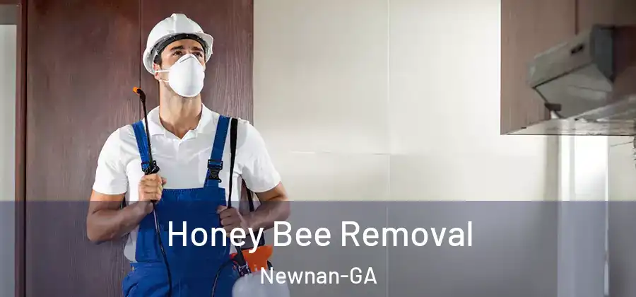 Honey Bee Removal Newnan-GA