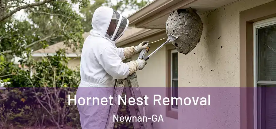 Hornet Nest Removal Newnan-GA