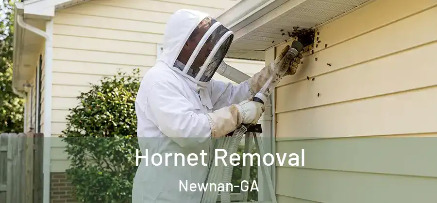 Hornet Removal Newnan-GA
