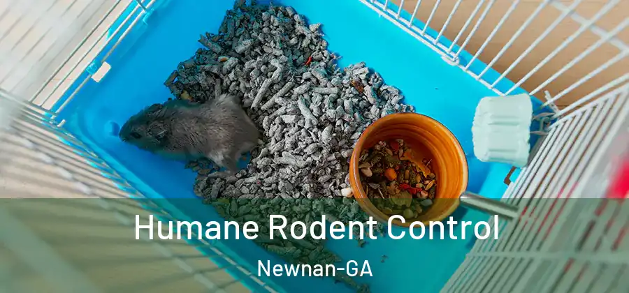  Humane Rodent Control Newnan-GA