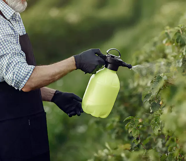Your Proven Mosquito Treatment Company in Newnan, GA