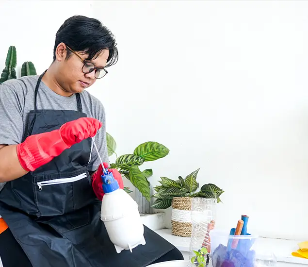 About Bed Bug Chemical Treatment Experts in Newnan, GA