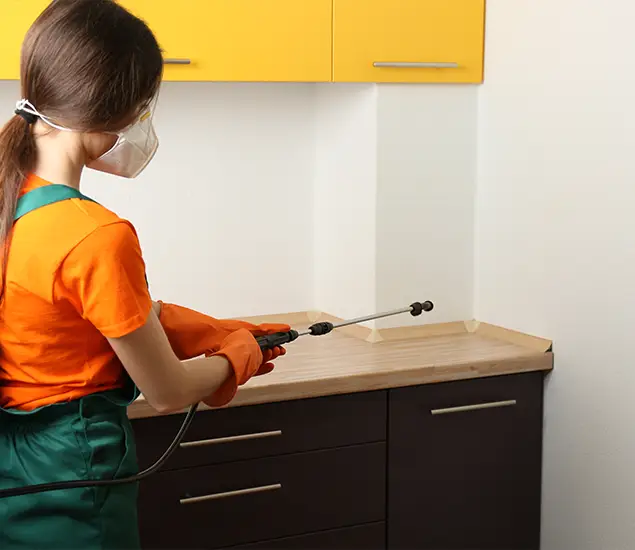 Trusted Bed Bug Pest Control Specialist in Newnan, GA