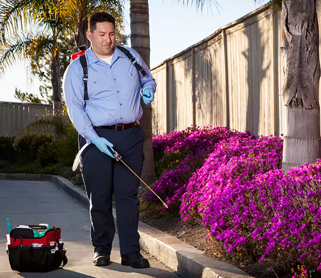 About Our Eco Safe Pest Control Experts in Newnan, GA
