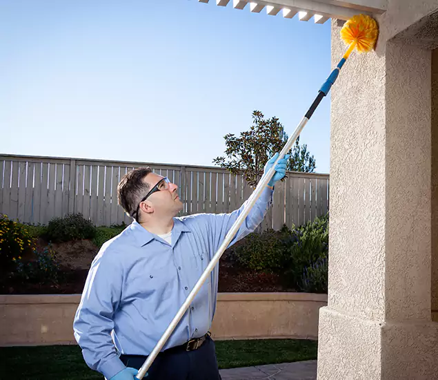 Trusted Experts in Newnan GA for Formosan Termite Treatment and Black Termite Control