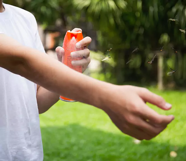 Your Best Indoor Bug Killer Team in Newnan, GA