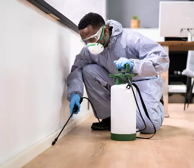 Leading Industrial Pest Control Experts Serving Newnan, GA