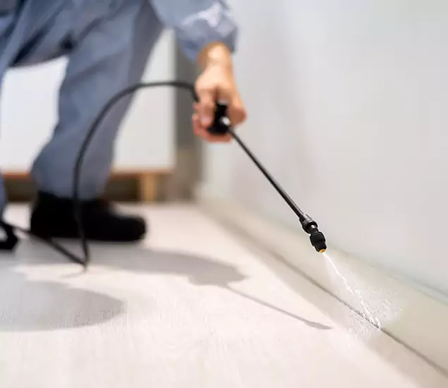 About Our Liquid Termite Treatment Experts in Newnan, GA