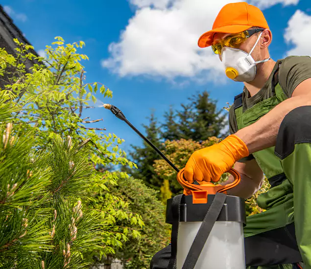 Your Mosquito Repellent Barrier Service in Newnan, GA