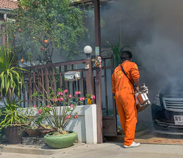 Your Proven Mosquito Fogging Company in Newnan, GA