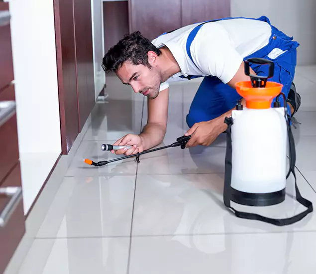 Reliable Professional Mouse Removal: Your Best Mouse Control Company in Newnan, GA