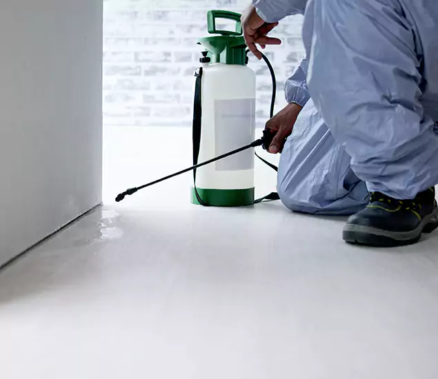 Affordable Pest Control Experts in Newnan, GA