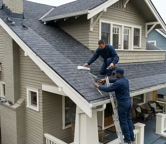 Your Pigeon Control Experts in Newnan, GA