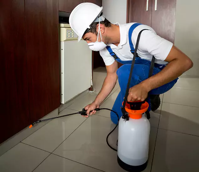 Advanced Termite Pre Treatment Experts in Newnan, GA