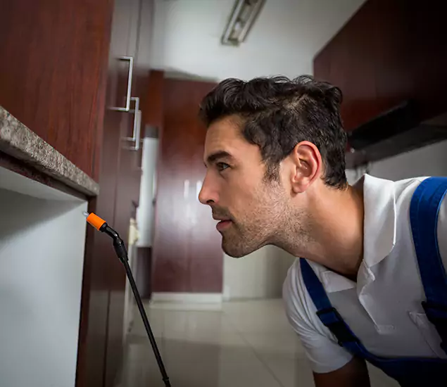 Expert Rodent in Attic Removal: Your Proven Pest Specialists in Newnan, GA