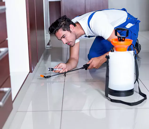 Advanced Slab Termite Treatment Experts You Can Trust&nbsp;in Newnan, GA