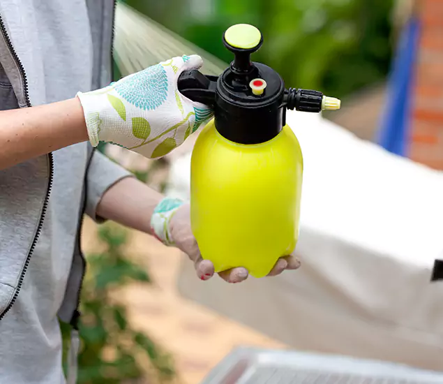 Skilled Residential Small Black Ant Service in Newnan, GA