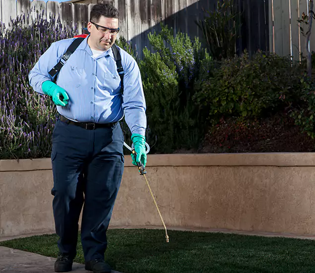 Reliable Termite Barrier Treatment Experts in Newnan, GA