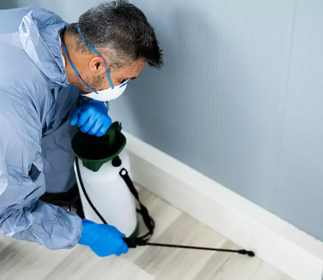 Reliable Termite Cost Experts in Newnan, GA