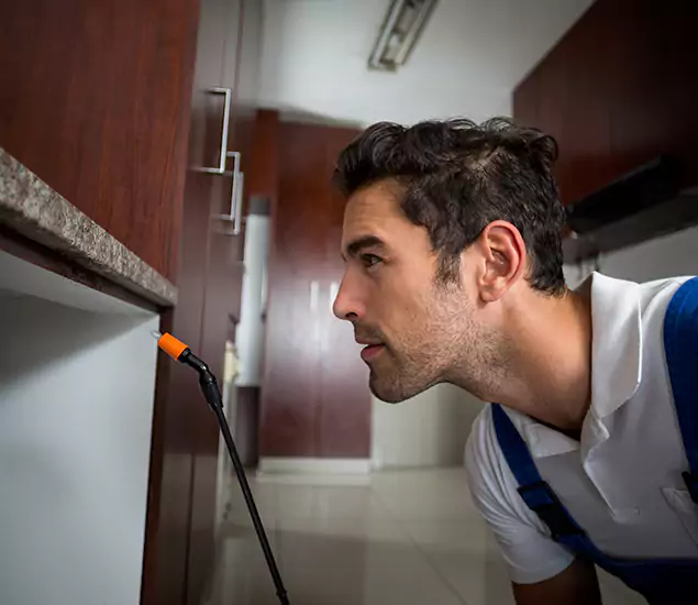 Termite Inspection Cost Experts You Can Trust in Newnan, GA