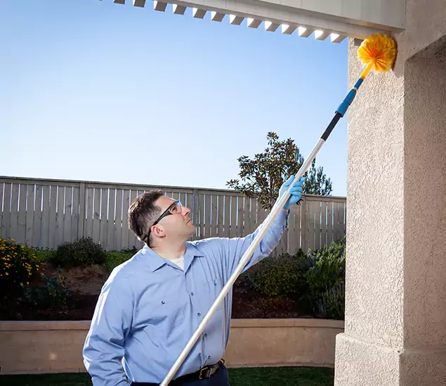 Your Trusted Wasp Removal Company in Newnan, GA