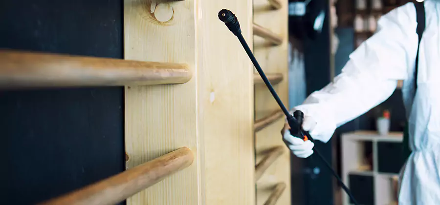Attic Wood Termite Treatment in Newnan