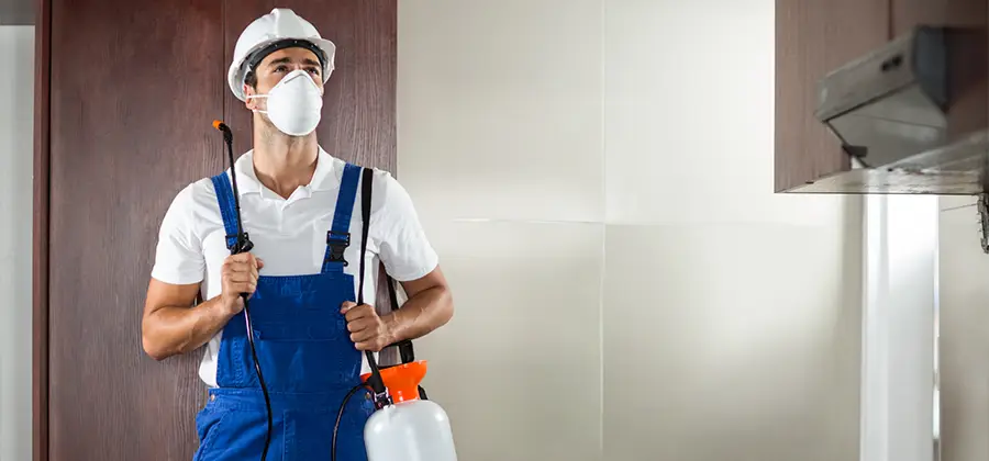 Per Room Bed Bug Cost in Newnan